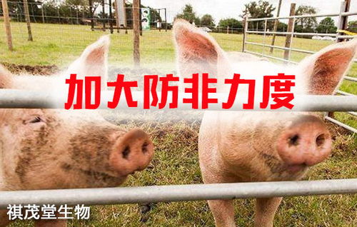 筑牢生物安全屏障 抓實(shí)關(guān)鍵措施，防控重大疫病，保障畜牧漁業(yè)飼料銷售穩(wěn)定